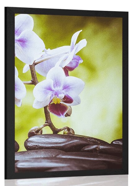 Poszter zen kövek és orchidea