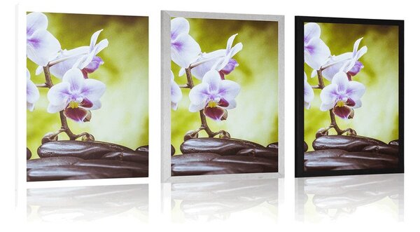 Poszter zen kövek és orchidea