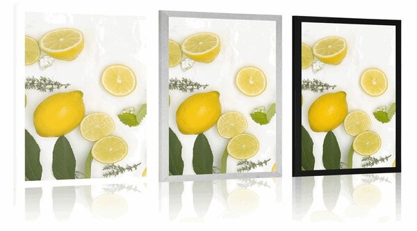 Poszter citrusfélék keveréke
