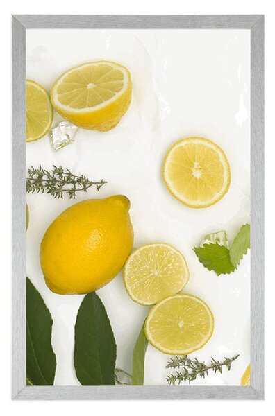 Poszter citrusfélék keveréke