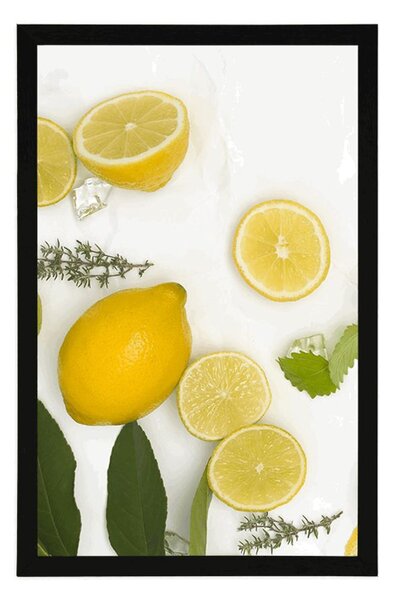 Poszter citrusfélék keveréke