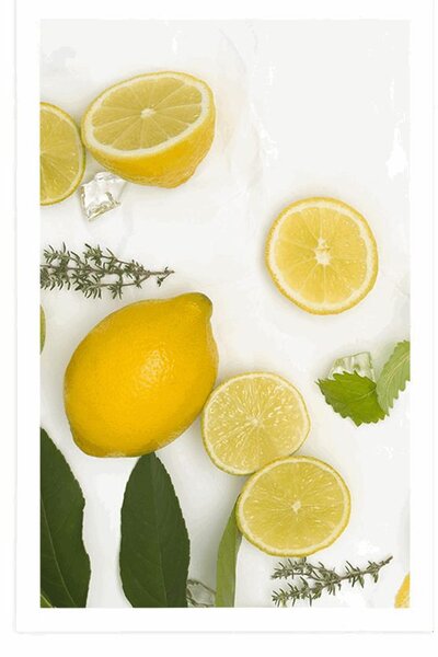 Poszter citrusfélék keveréke