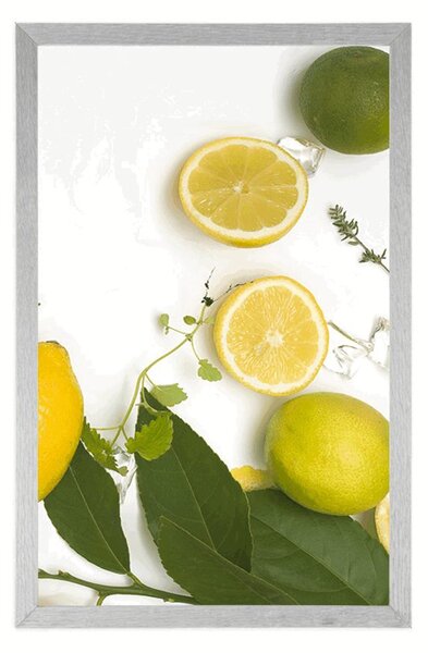 Poszter citrusfélék keveréke