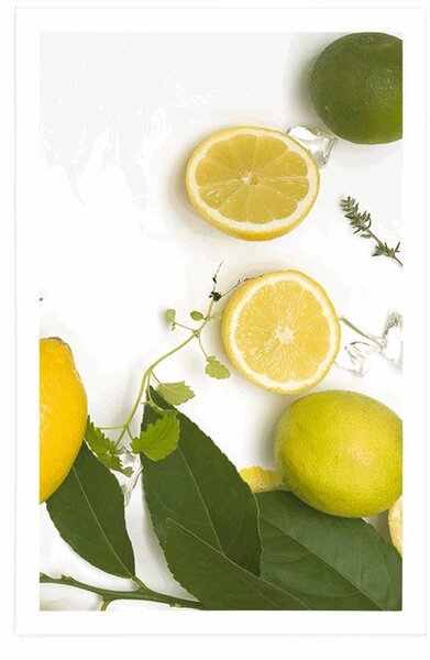 Poszter citrusfélék keveréke