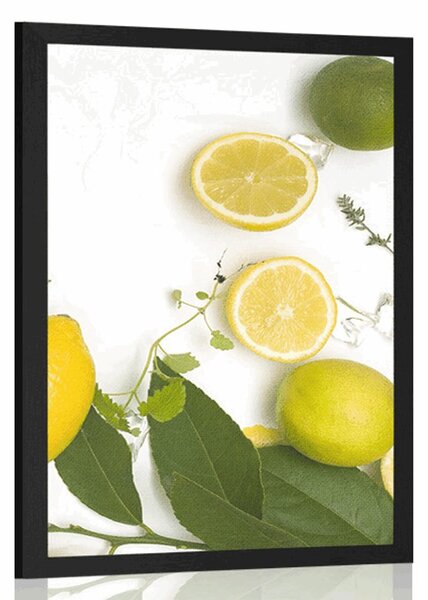 Poszter citrusfélék keveréke