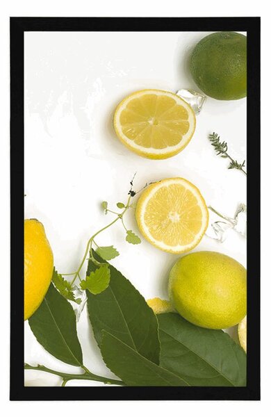 Poszter citrusfélék keveréke