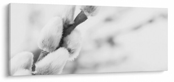 Kép - A tavasz kezdete (120x50 cm)