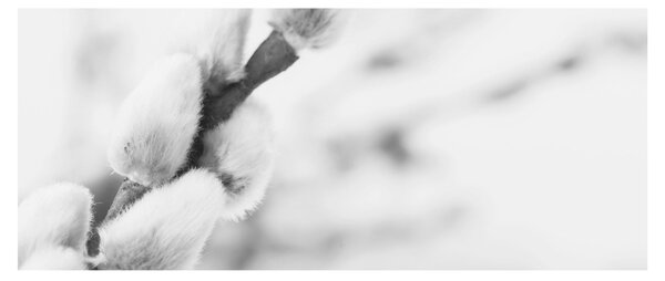 Kép - A tavasz kezdete (120x50 cm)