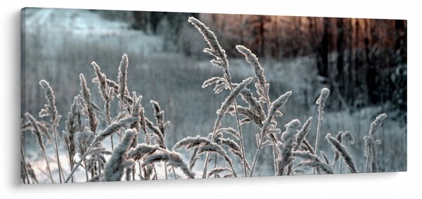 Kép - Fagyott rét (120x50 cm)