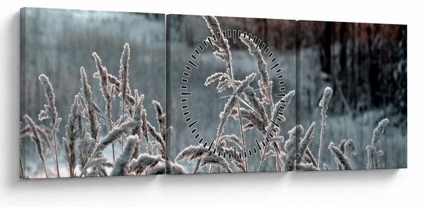 Kép - Fagyott rét (órával) (90x30 cm)