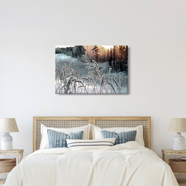 Kép - Fagyott rét (90x60 cm)