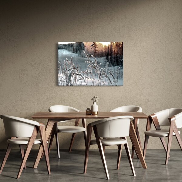 Kép - Fagyott rét (90x60 cm)