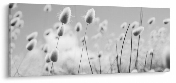 Kép - Boho nyuszi farok fű (120x50 cm)
