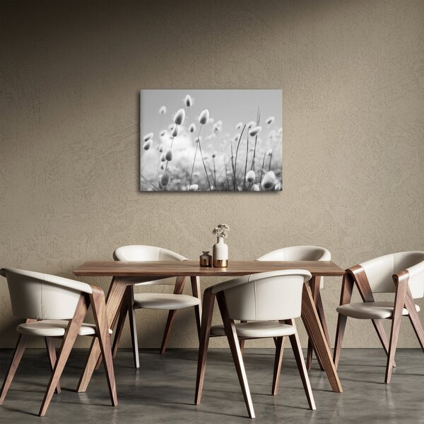 Kép - Boho nyuszi farok fű (70x50 cm)