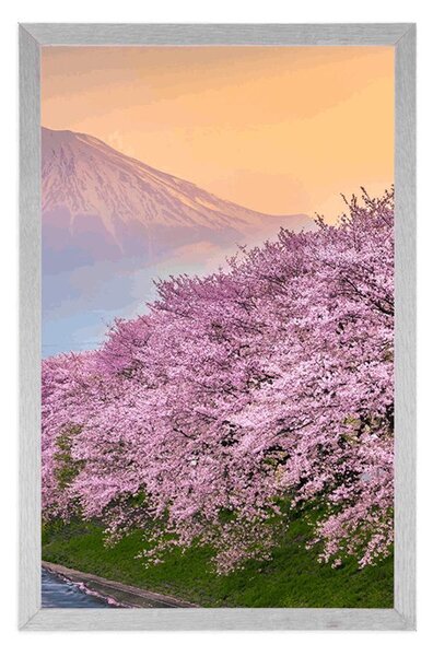 Poszter gyönyörő Japán ország