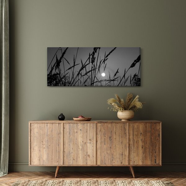 Kép - rét naplementével (120x50 cm)