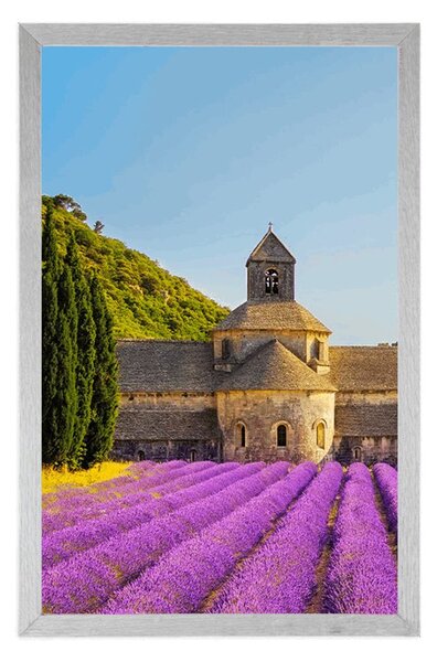 Poszter Provence levendulamezőkkel
