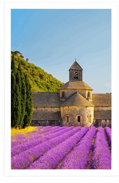 Poszter Provence levendulamezőkkel