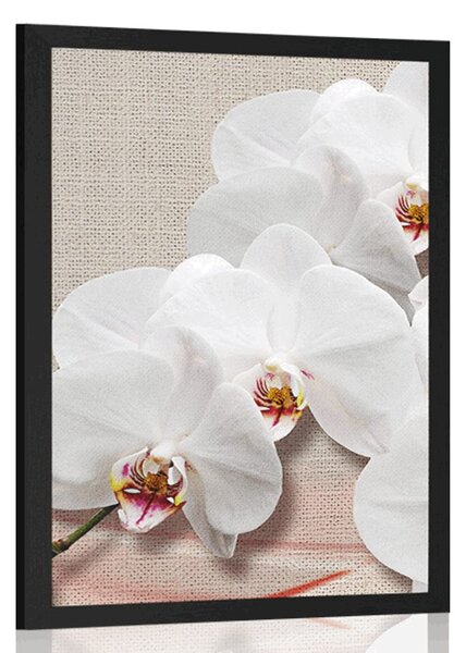 Poszter fehér orchidea vásznon
