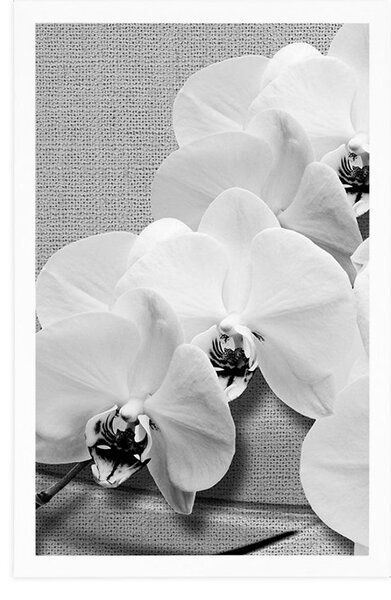 Poszter orchidea vásznon fekete fehérben