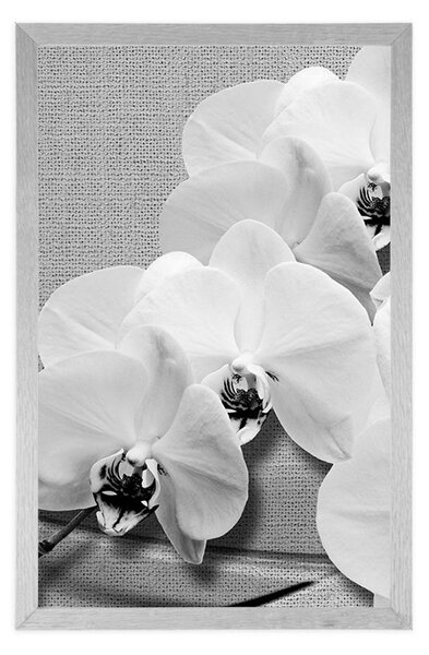 Poszter orchidea vásznon fekete fehérben