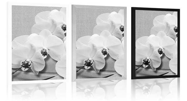 Poszter orchidea vásznon fekete fehérben