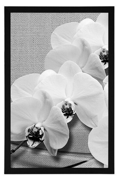 Poszter orchidea vásznon fekete fehérben