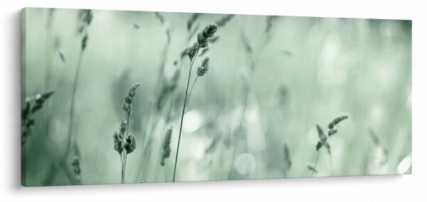 Kép - Zöld rét (120x50 cm)