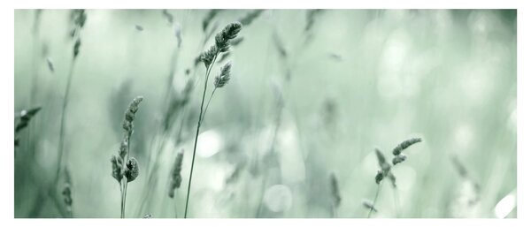 Kép - Zöld rét (120x50 cm)