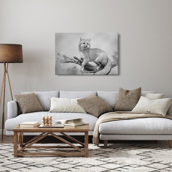 Kép - Szürke róka (90x60 cm)