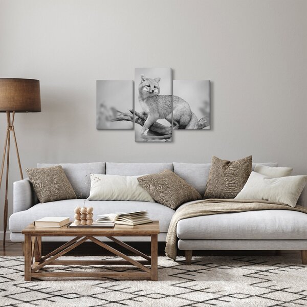 Kép - Szürke róka (90x60 cm)