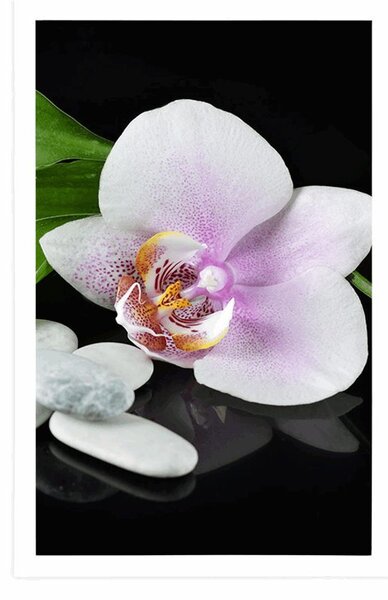 Poszter zen kövek és orchidea