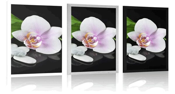 Poszter zen kövek és orchidea