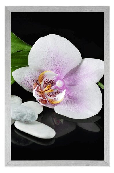 Poszter zen kövek és orchidea