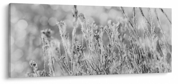 Kép - Hideg tél (120x50 cm)