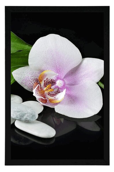 Poszter zen kövek és orchidea