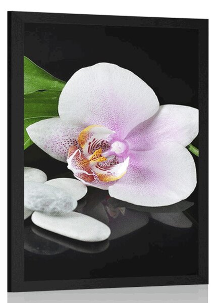 Poszter zen kövek és orchidea