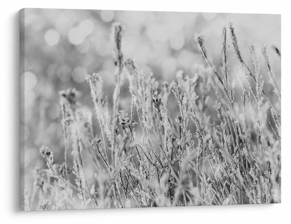Kép - Hideg tél (70x50 cm)