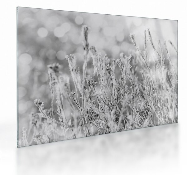 Üveg kép - Hideg tél (70x50 cm)