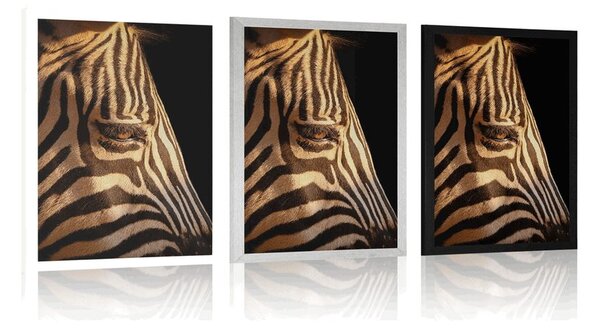 Poszter egy zebra portréja