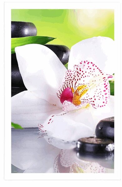 Poszter japán orchidea