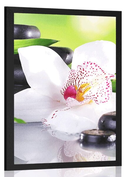 Poszter japán orchidea