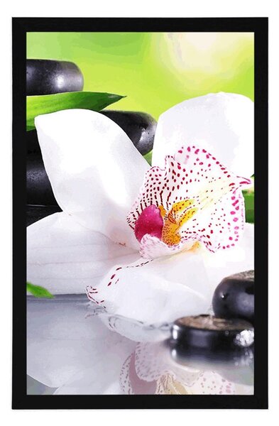 Poszter japán orchidea