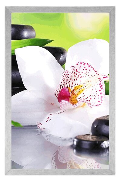 Poszter japán orchidea