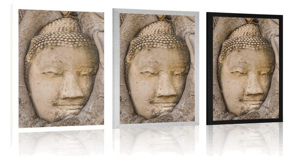 Poszter Buddha szent fügefája