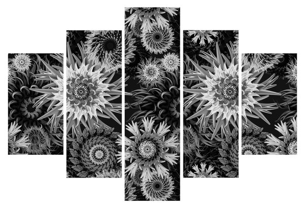 Kép - Fekete és fehér gyűszűvirág (150x105 cm)