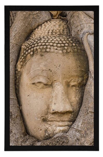 Poszter Buddha szent fügefája