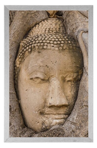 Poszter Buddha szent fügefája