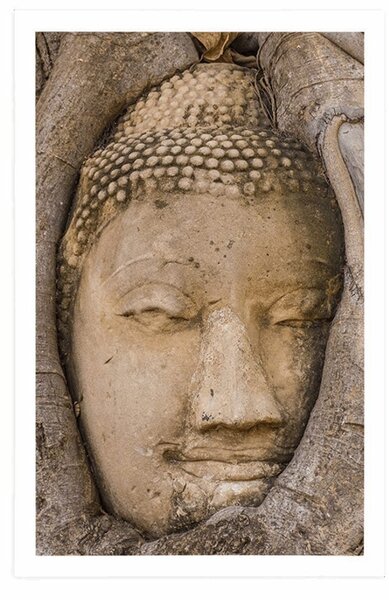 Poszter Buddha szent fügefája