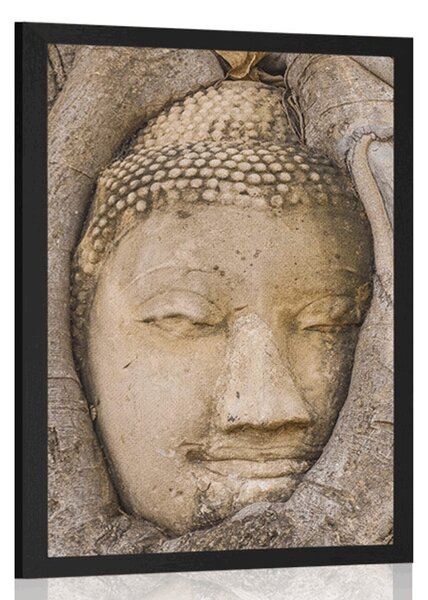 Poszter Buddha szent fügefája